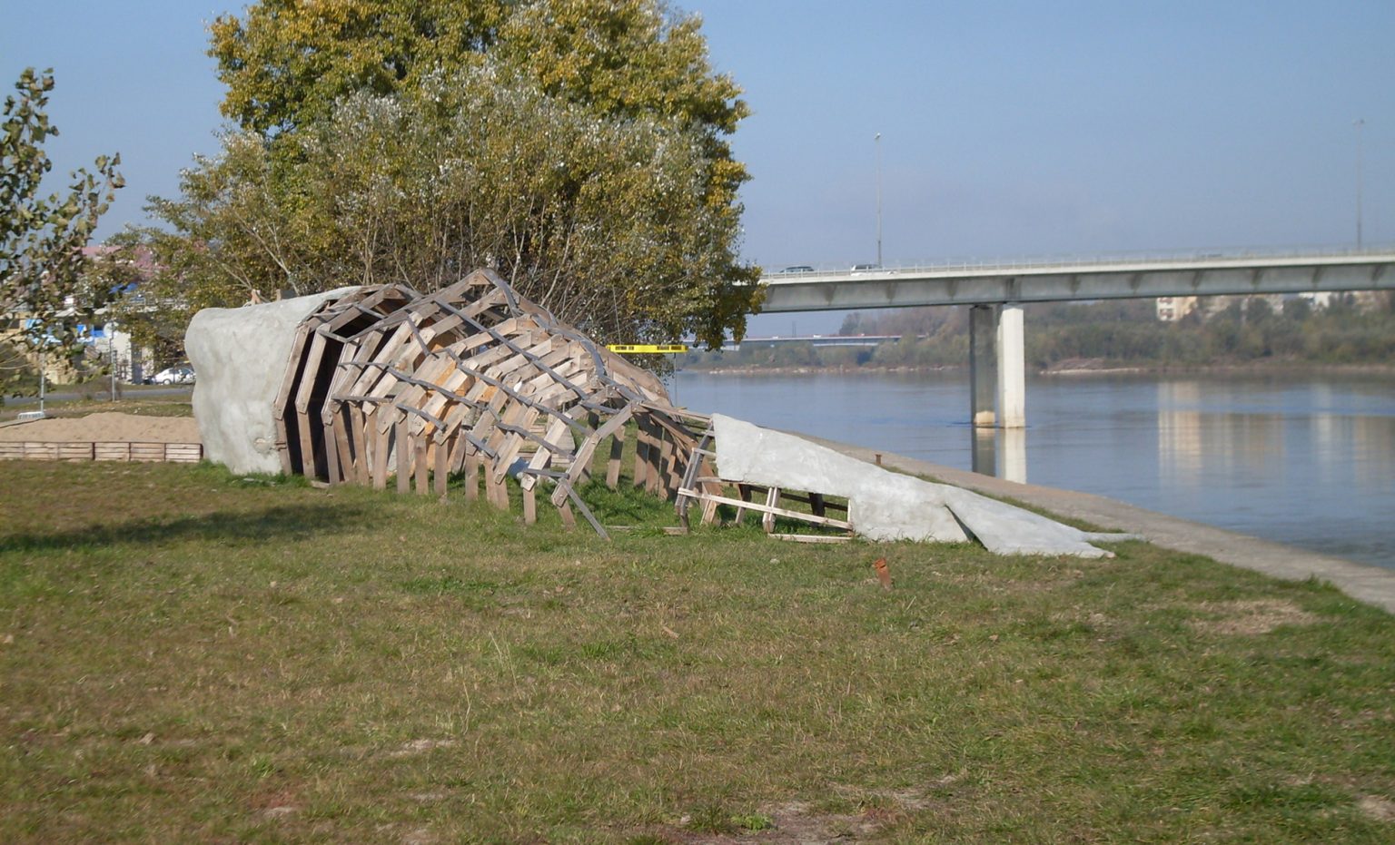 A.Siekierska, Wieloryb nad Wisłą, 2010
