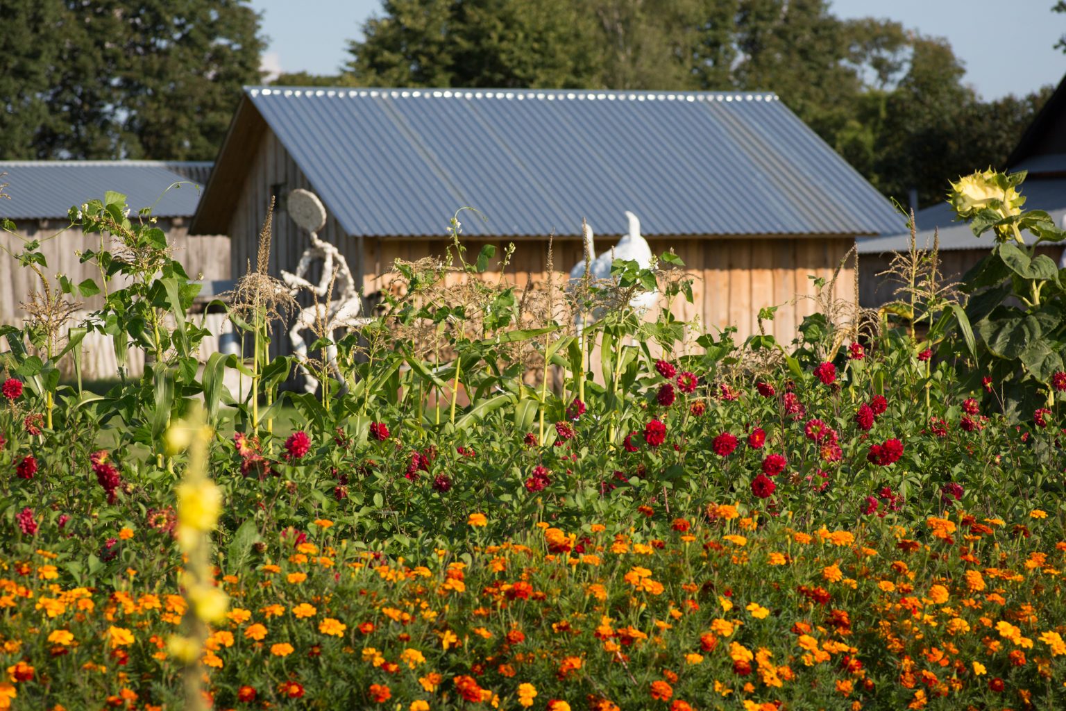 Ogród, fot. A.Młotowska