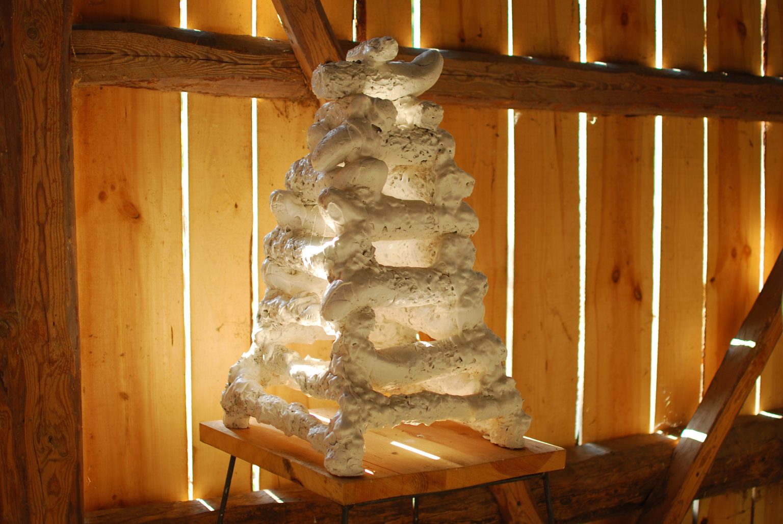 R.Pietrzak, Palce, 2017, fot.J.Madej