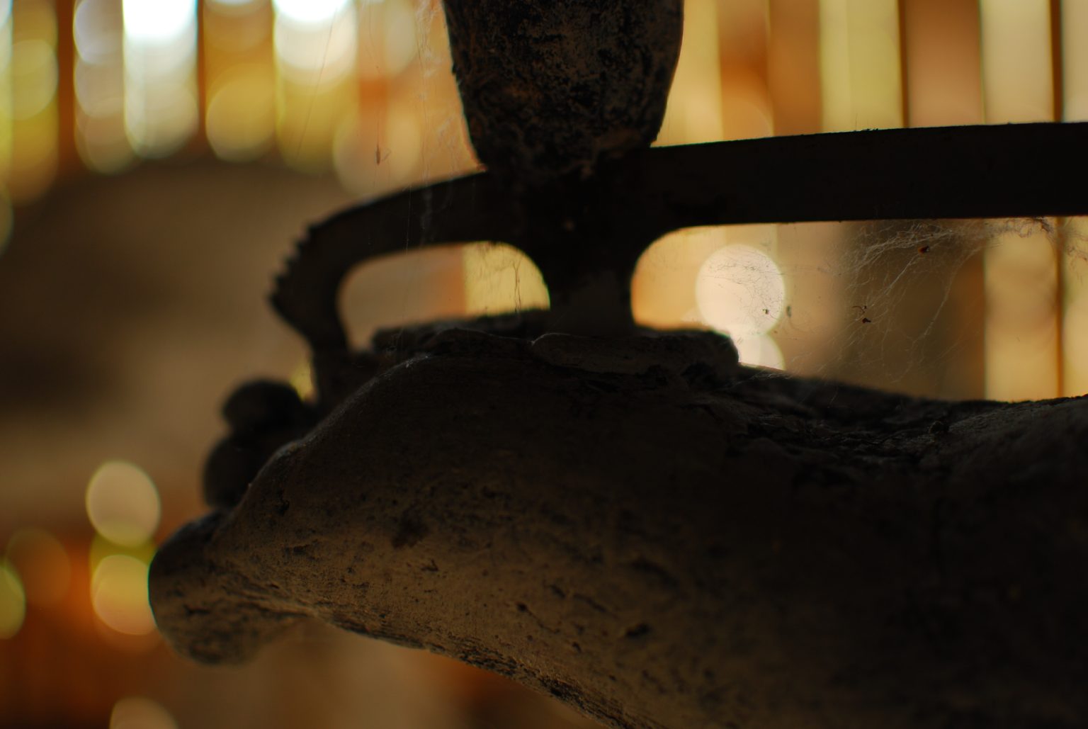 R.Pietrzak,Łyżwa, 2010, fot.J.Madej