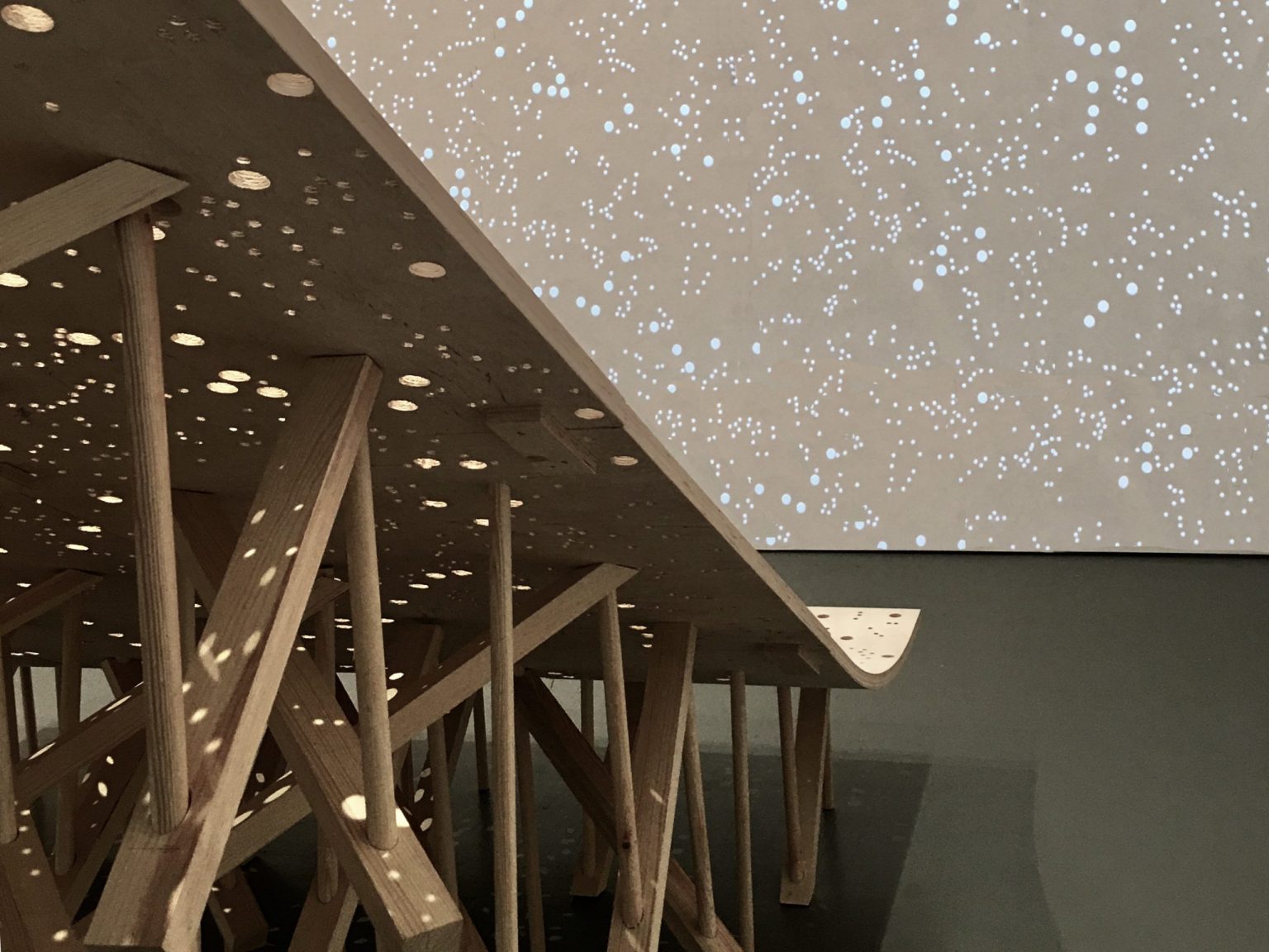 MYCOsystem, XXII Triennale di Milano Broken Nature 2019