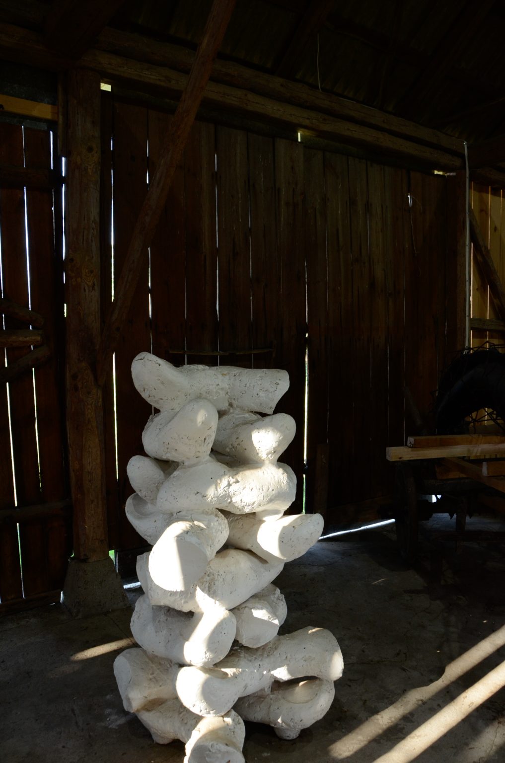 R.Pietrzak, Palce II, 2018, fot.J.Madej