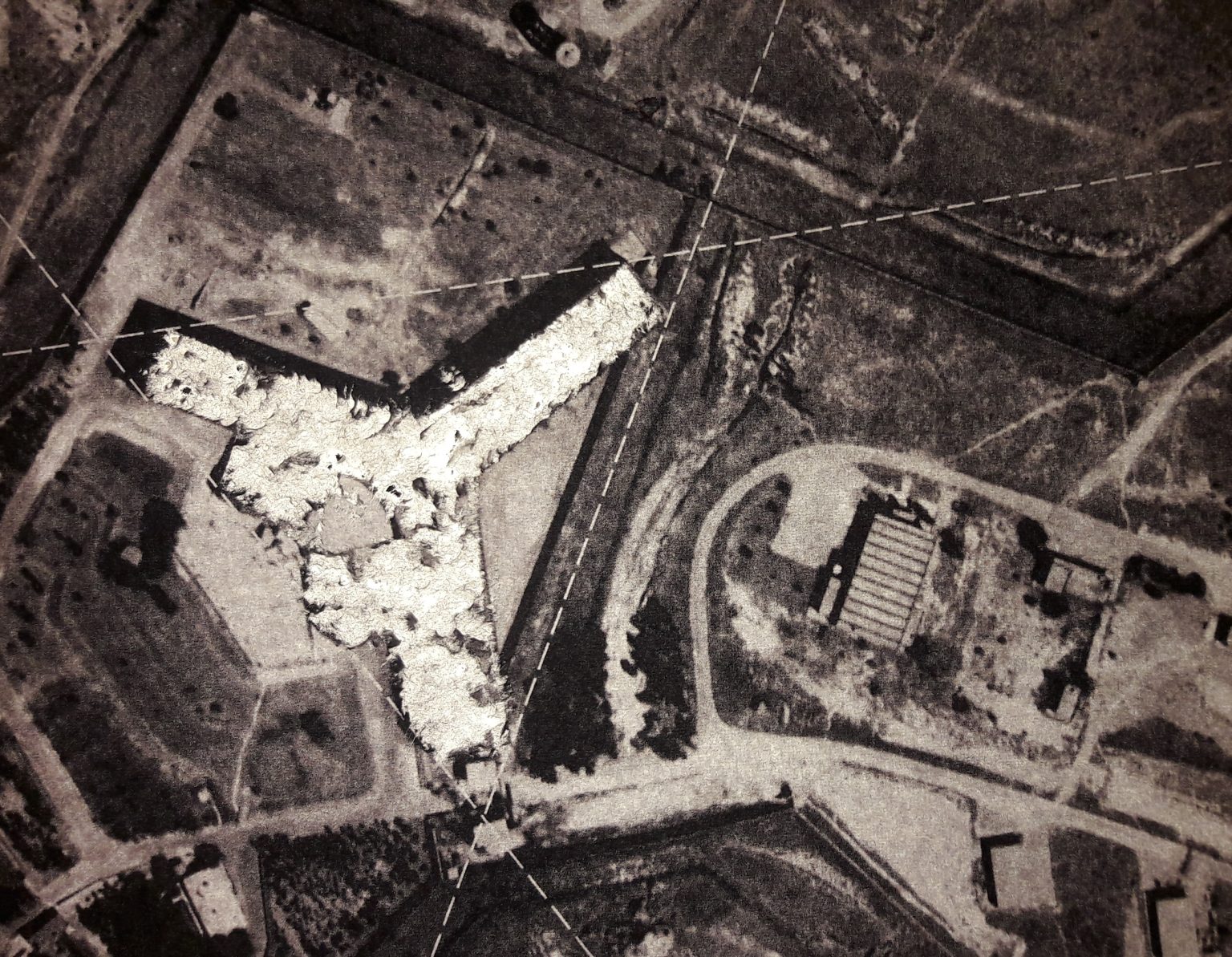 P. Mysera, SAYDNAIA, 2017