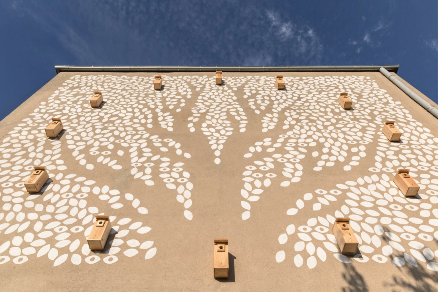 Wspólnota międzygatunkowa, Biennale Dizajnu i Sztuki Miejskiej, Traffic Design, Gdynia 2020