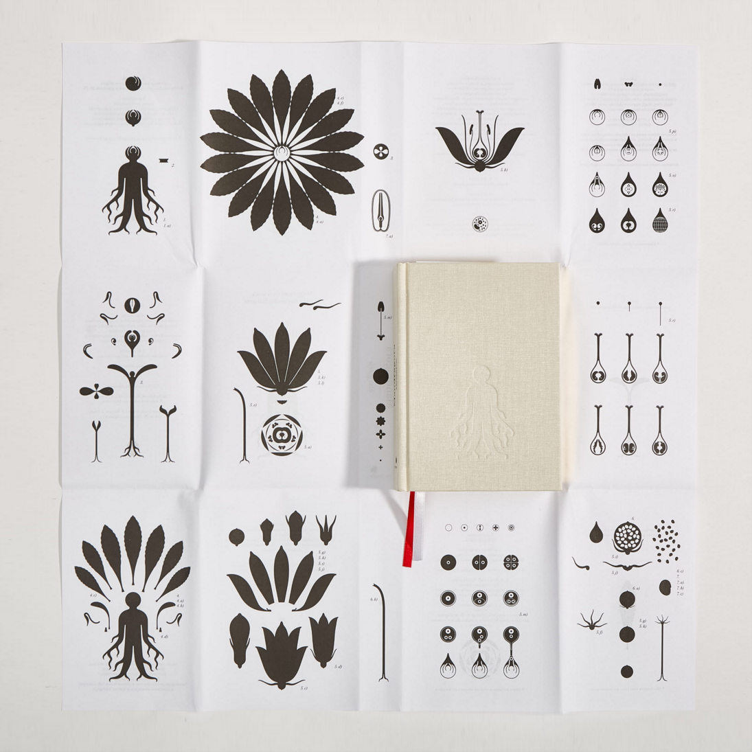 Mandragora. Klasyfikcje, Fundacja Bęc Zmiana, Warszawa 2020