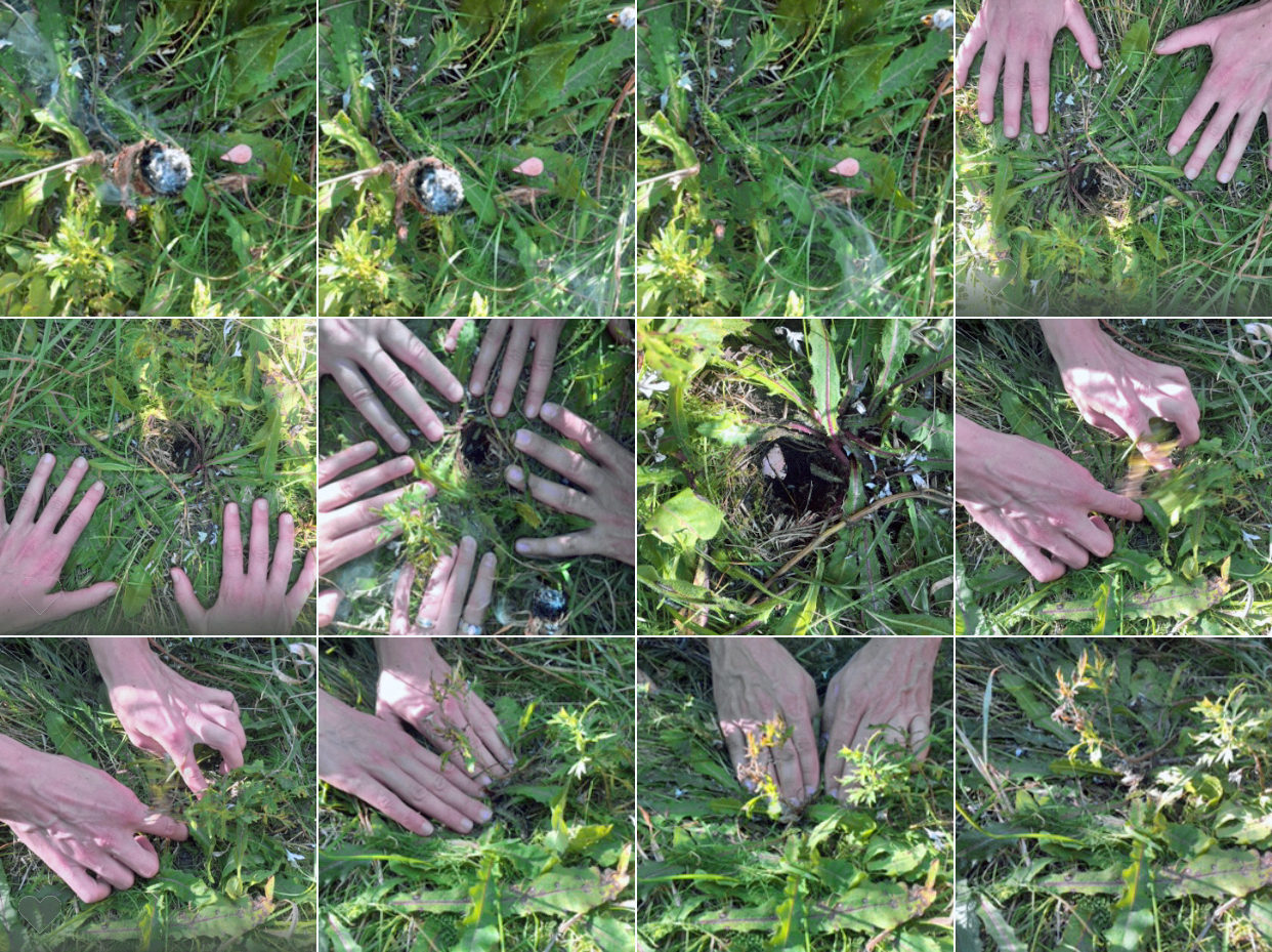 Wota, Magiczne zaangażowanie Galeria Miejska Arsenał Poznań 2020