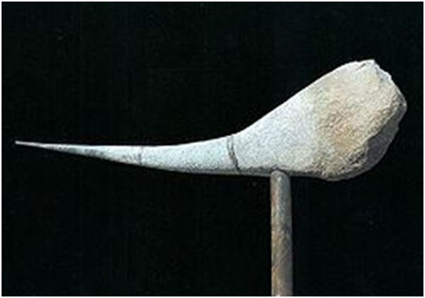 G.Witek, „ZWIASTUN” - fragment