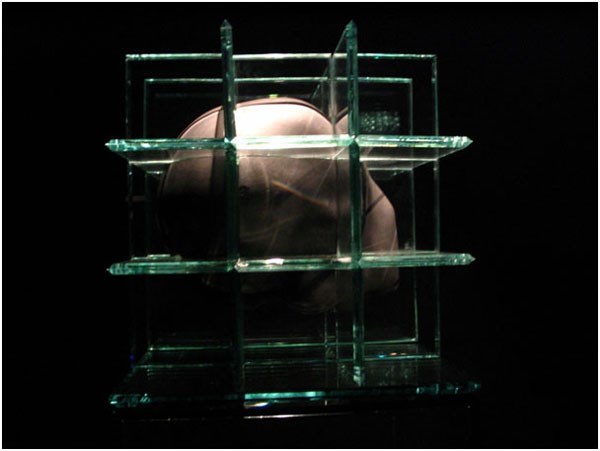 G.Witek, ,,HOMO SAPIENS”, szkło, ołów, wys. bez podstawy 30 cm, szer. 30 cm, 2008