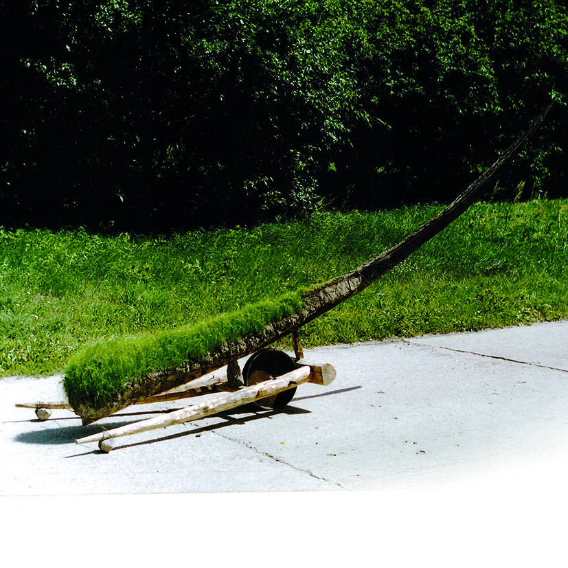 G.Witek, „WĘDROWIEC”, drewno, metal, kamień, ziemia, trawa, dł. 350 cm, 2005