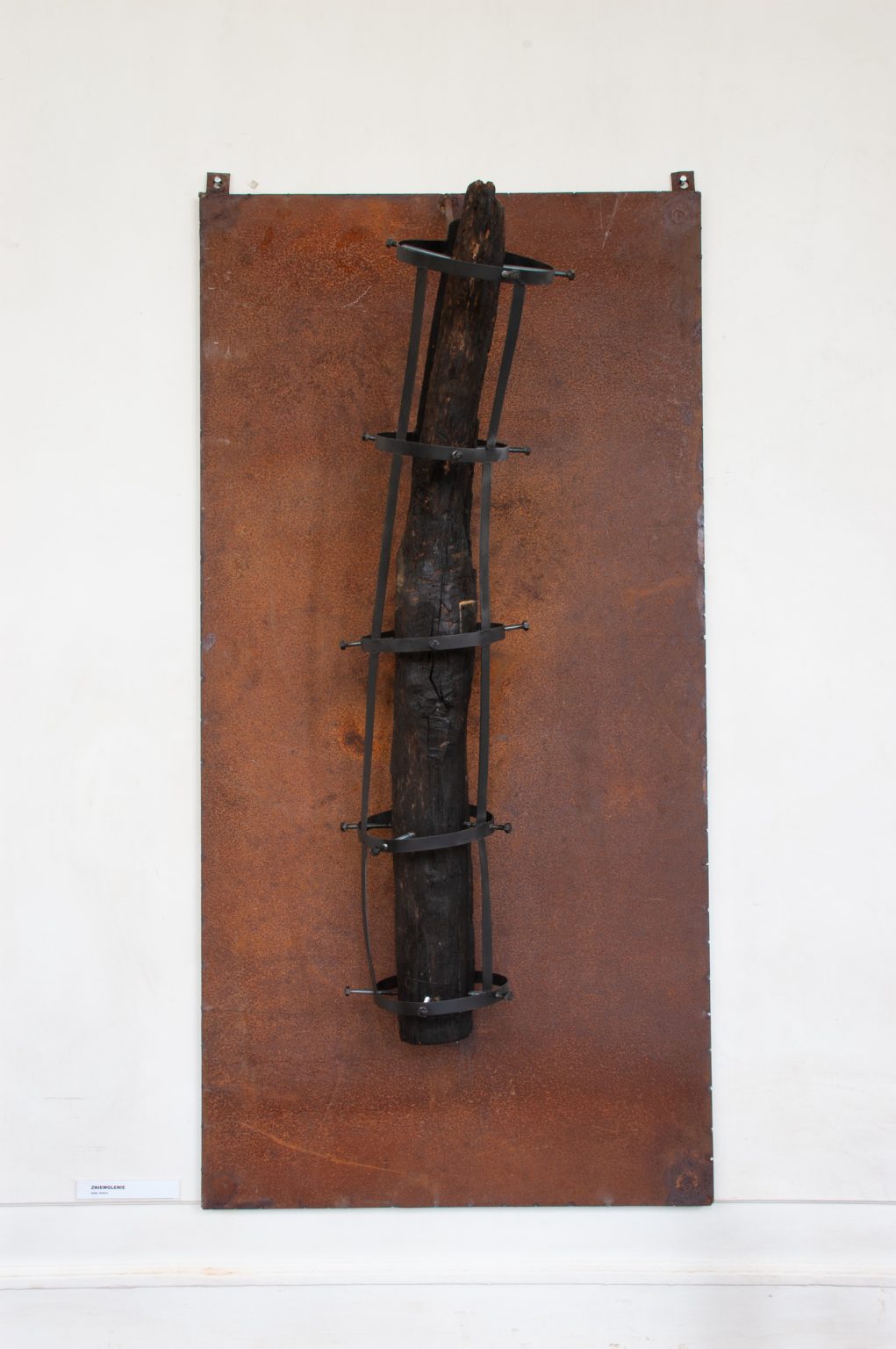 J.Łęcki, 2018, wystawa w Jabłonnej