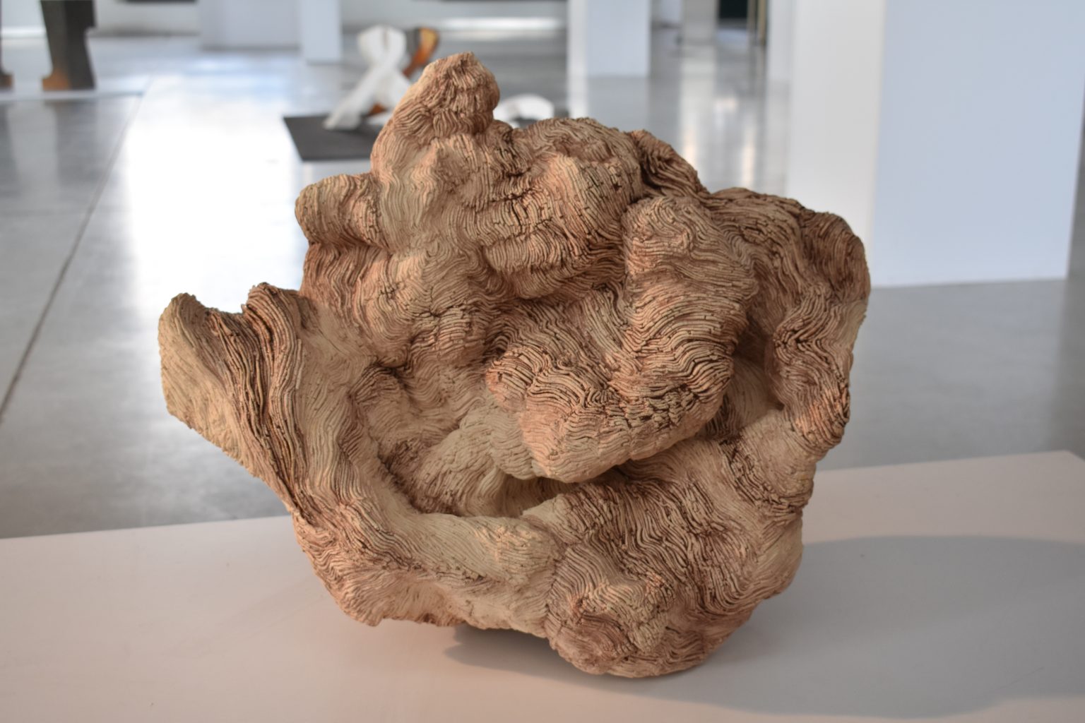 Prac. Ceram., S.Brach, praca Agnieszka Hernik