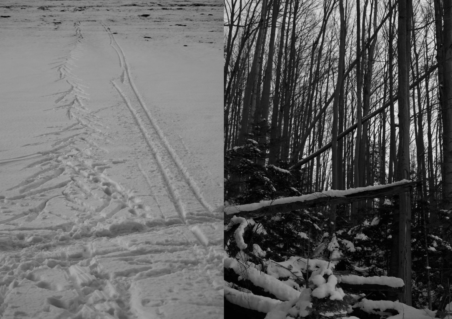 Prac. Foto E.Łuczak st. J.Grabowska, rytm