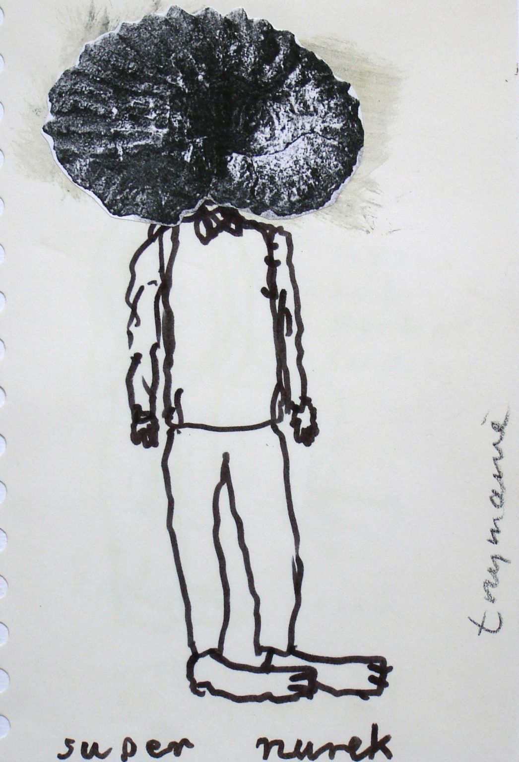 STRUŚ NUREK, rysunek, 1992 rok