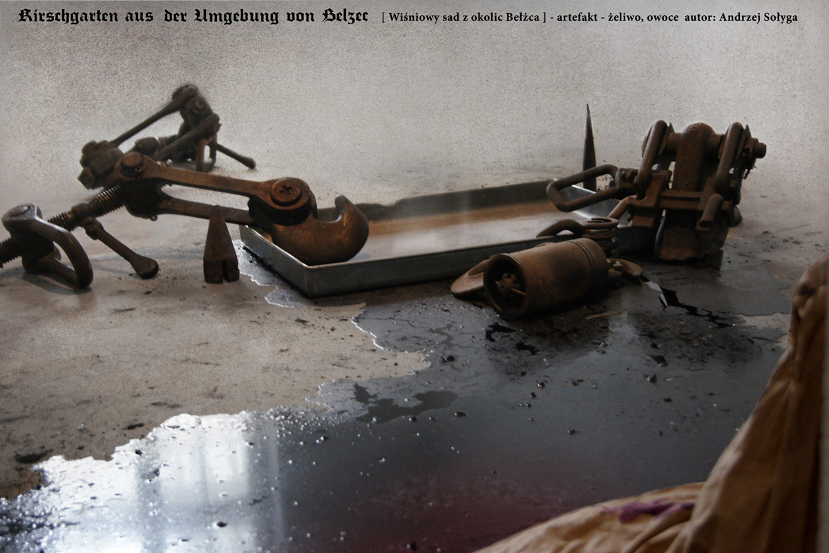 A.Sołyga, Wiśniowy sad z okolic Bełżca 2019-1